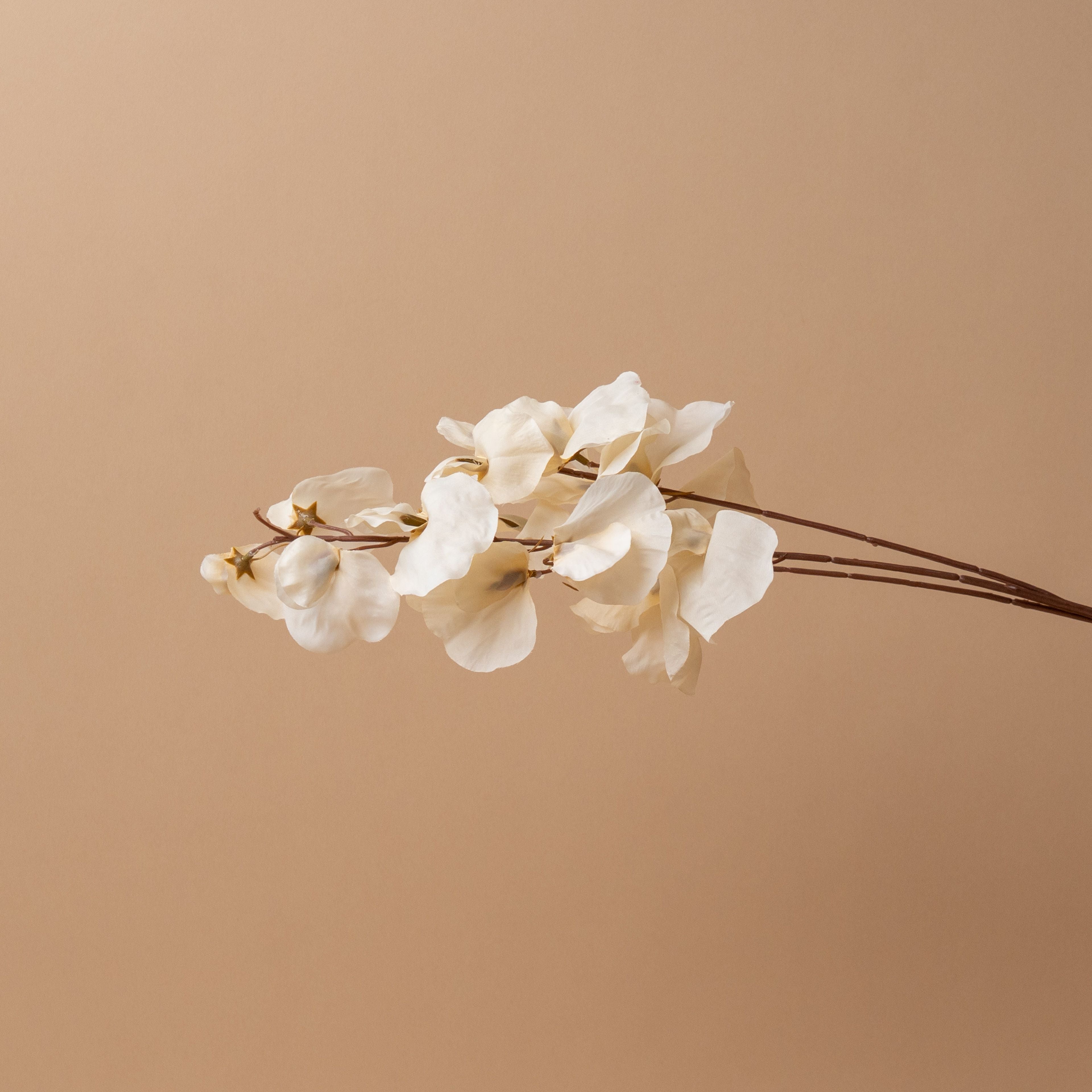 Faux Sweet Pea Stem – view 2