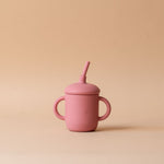 Sippy Cup with Straw FINNBIRD - cup Baby Bliss (Faire) Pink