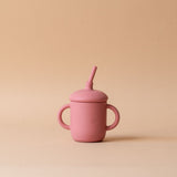 Sippy Cup with Straw FINNBIRD - cup Baby Bliss (Faire) Pink