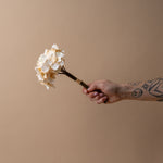 Faux Cream Hydrangea Stem – view 2