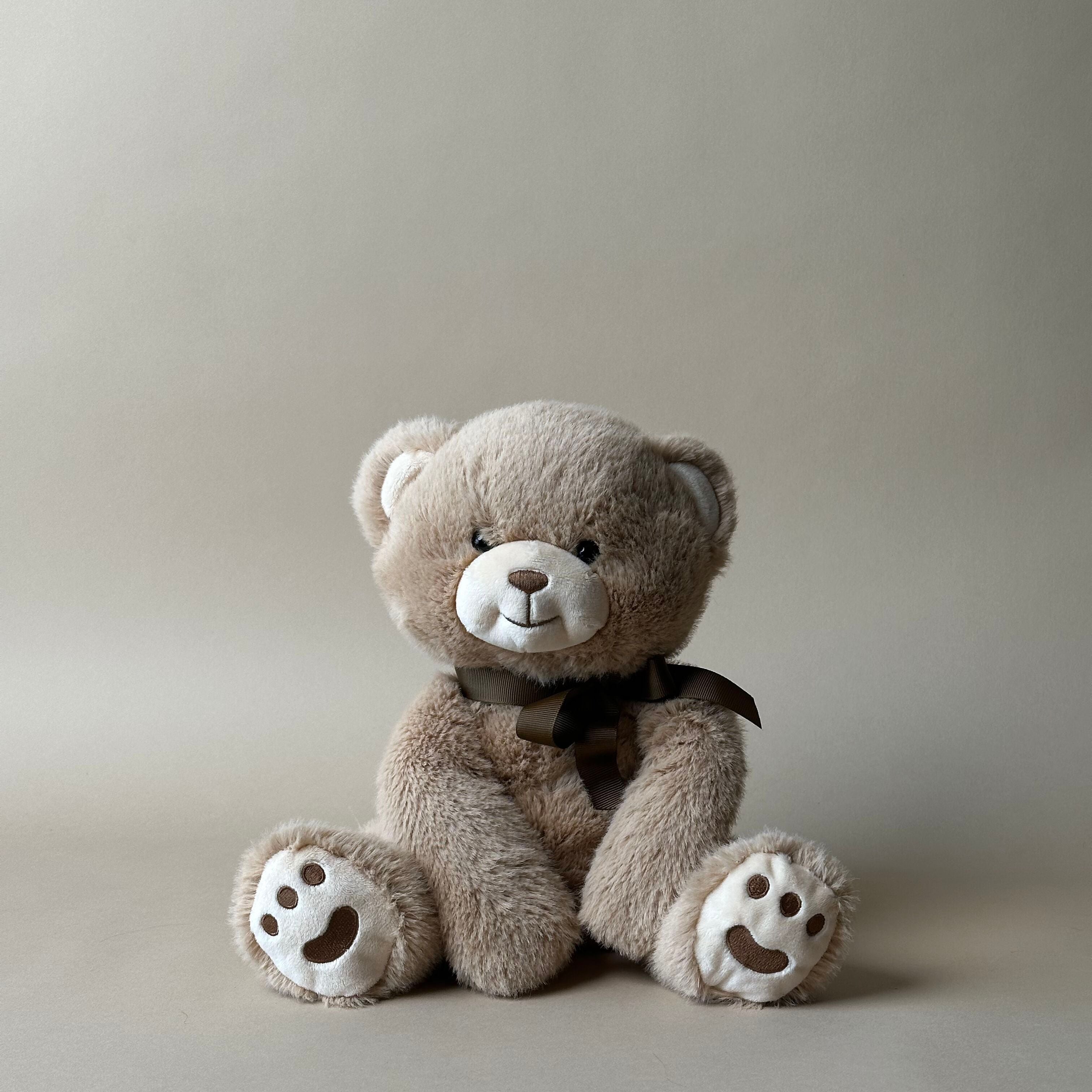 Bently the Bear