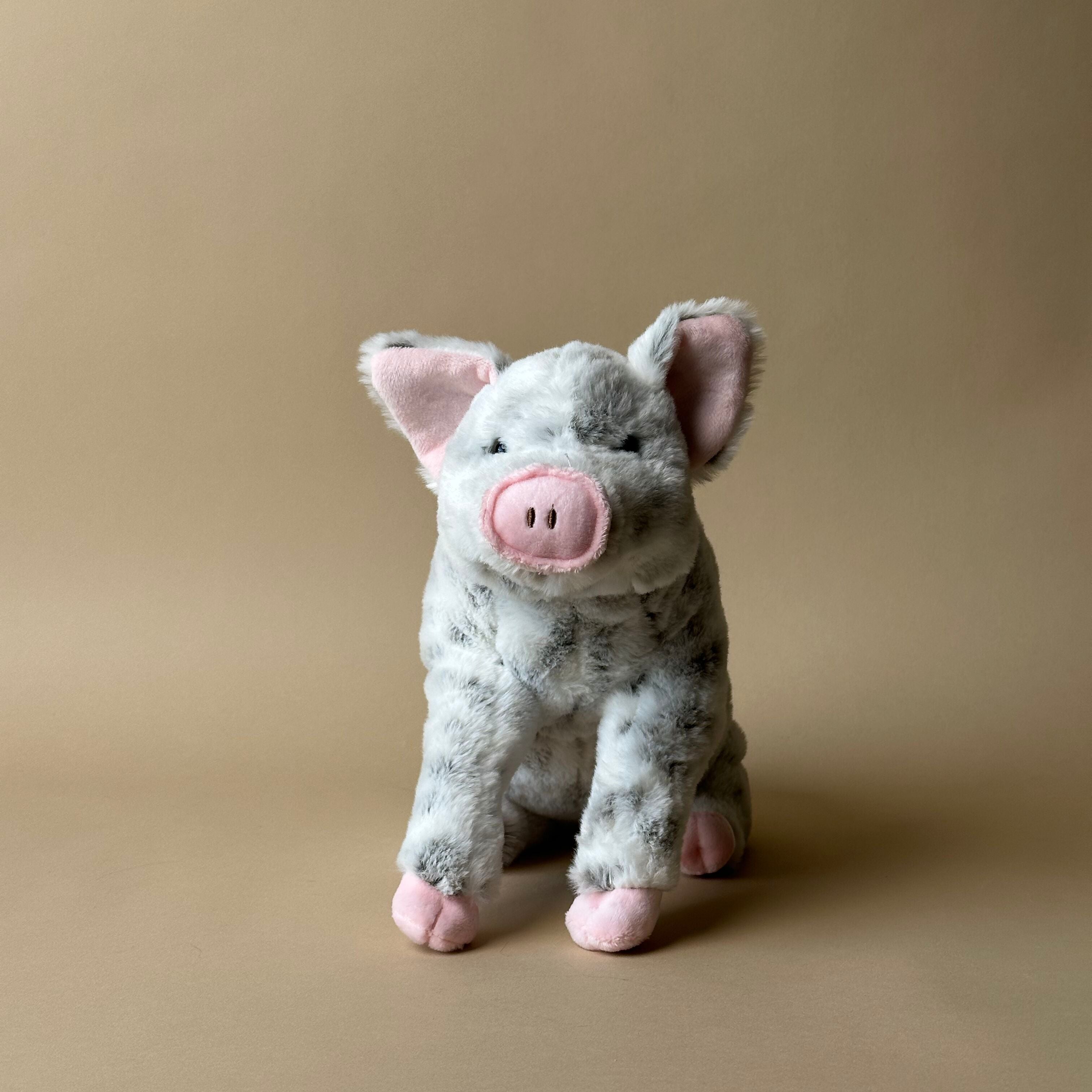 Sally the Spotted Pig