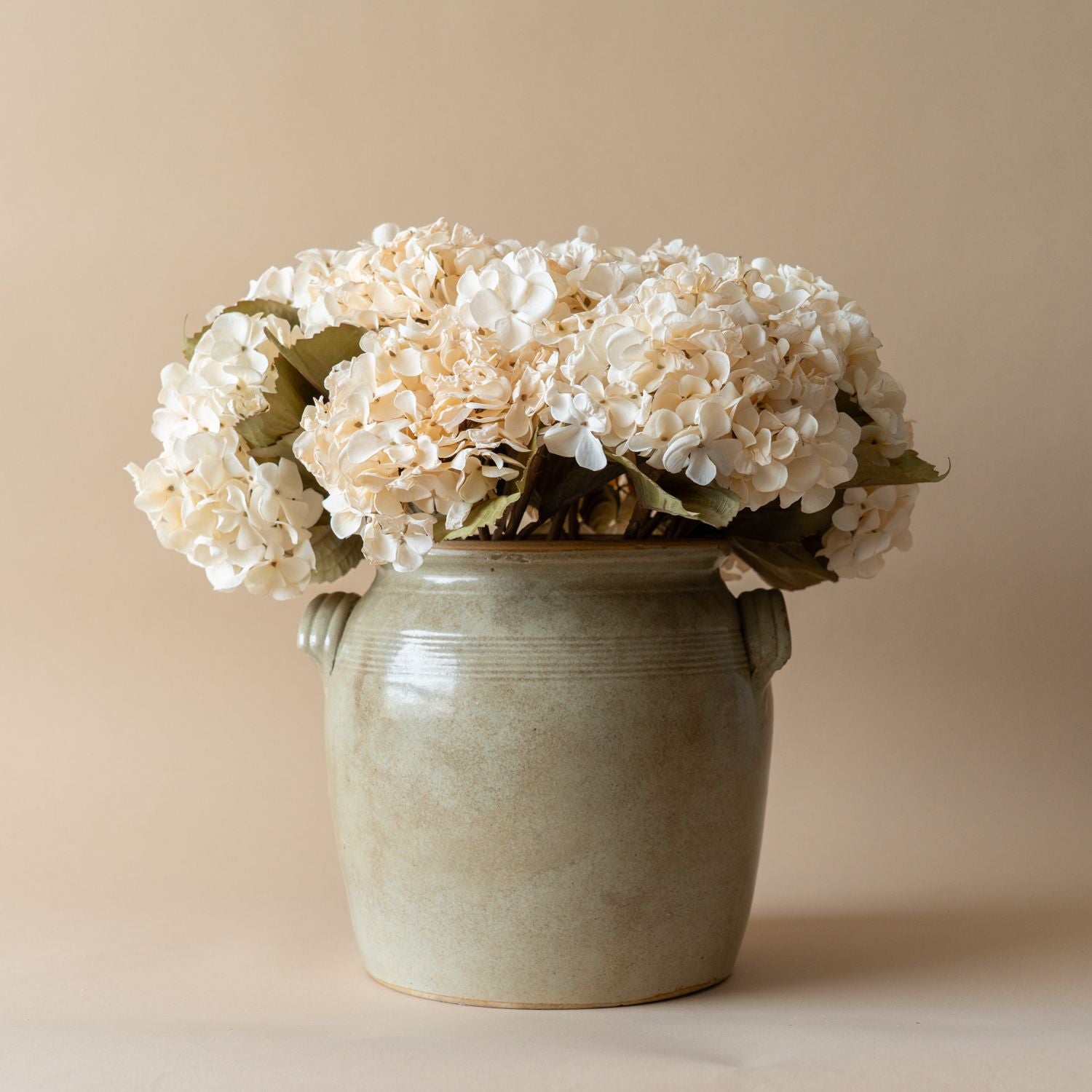 Faux Ivory Hydrangea Stem - Rug & Weave