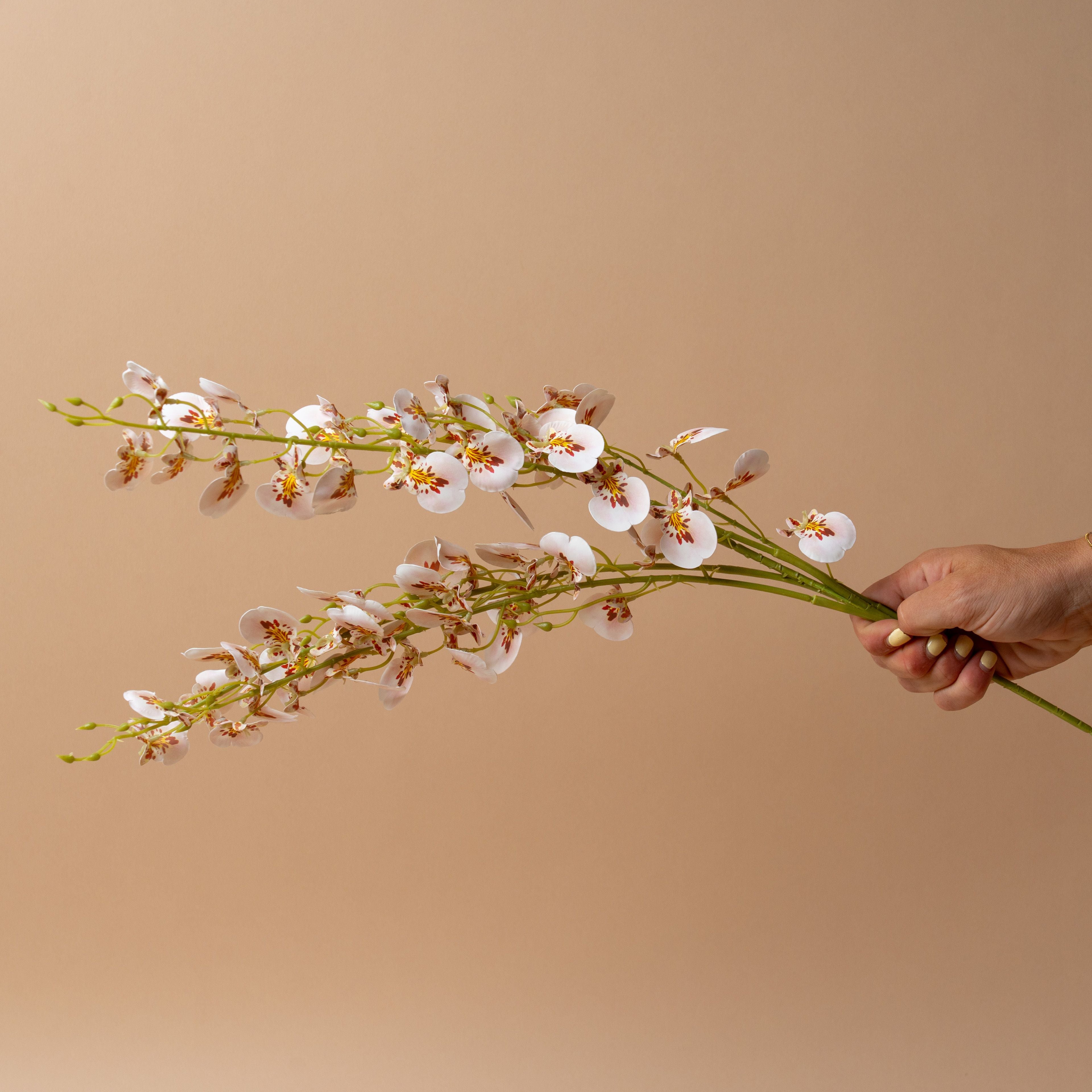 Faux Wild Orchid Spray