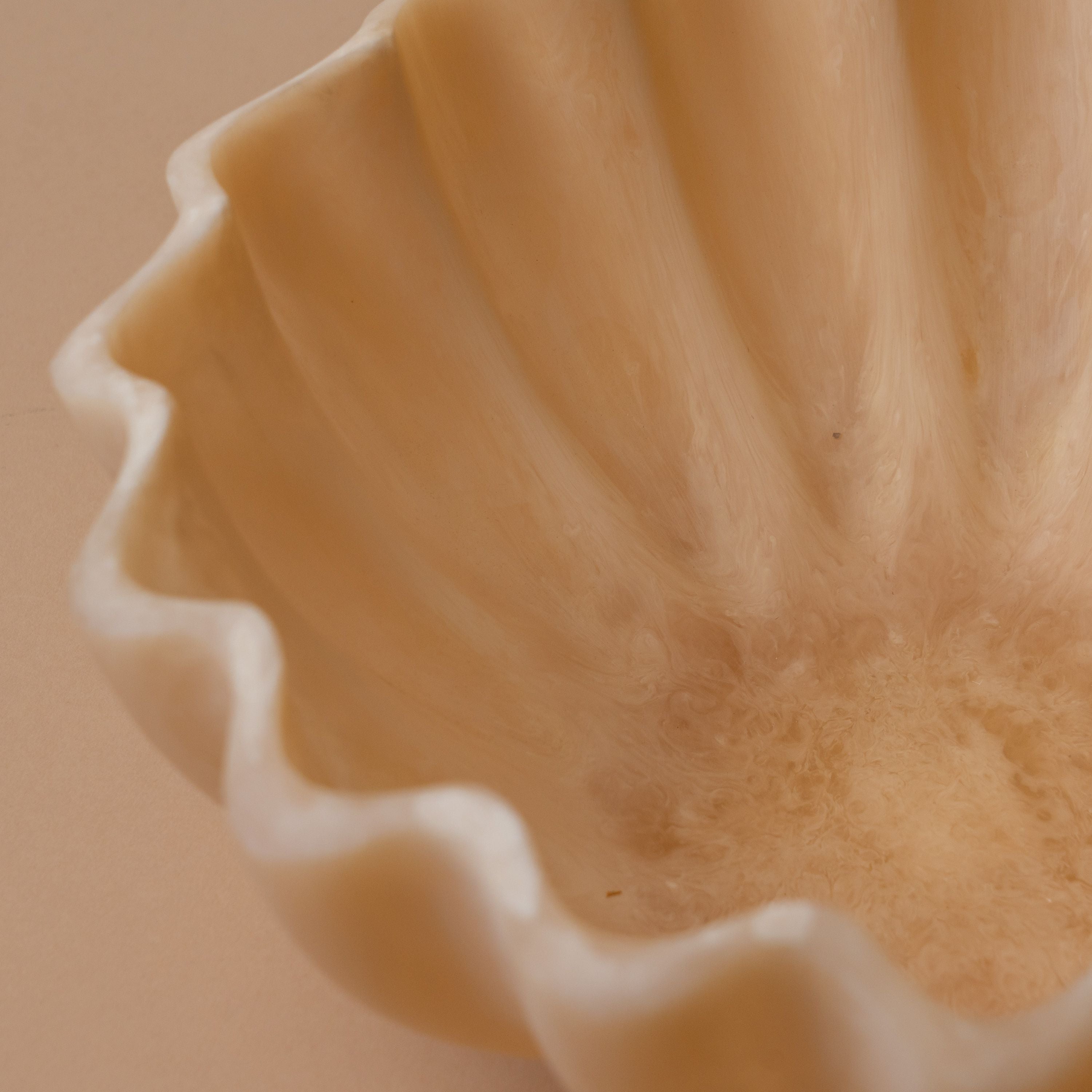 Opalescent Resin Scallop Bowl bowl Indaba