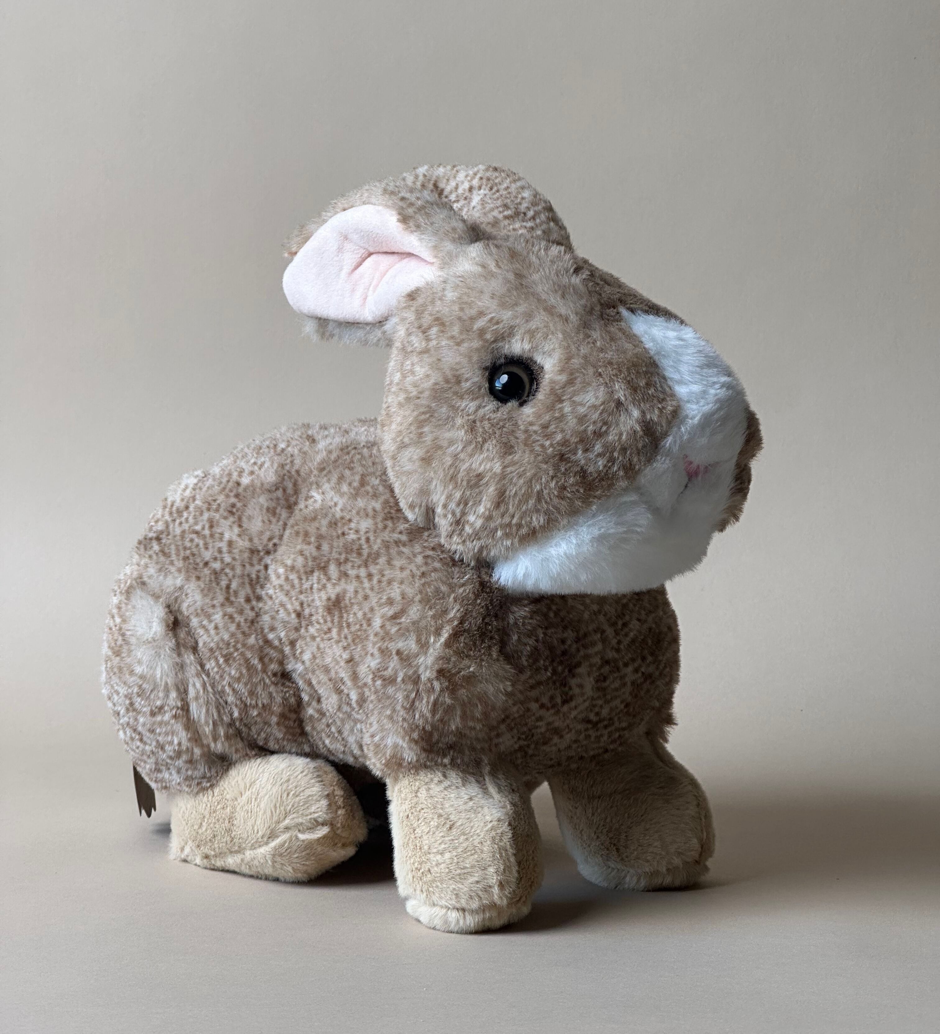 Rupert the Rabbit – view 2
