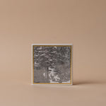 Decorative Safety Matches matches Archivist Gallery (Faire) Enchanted Forest