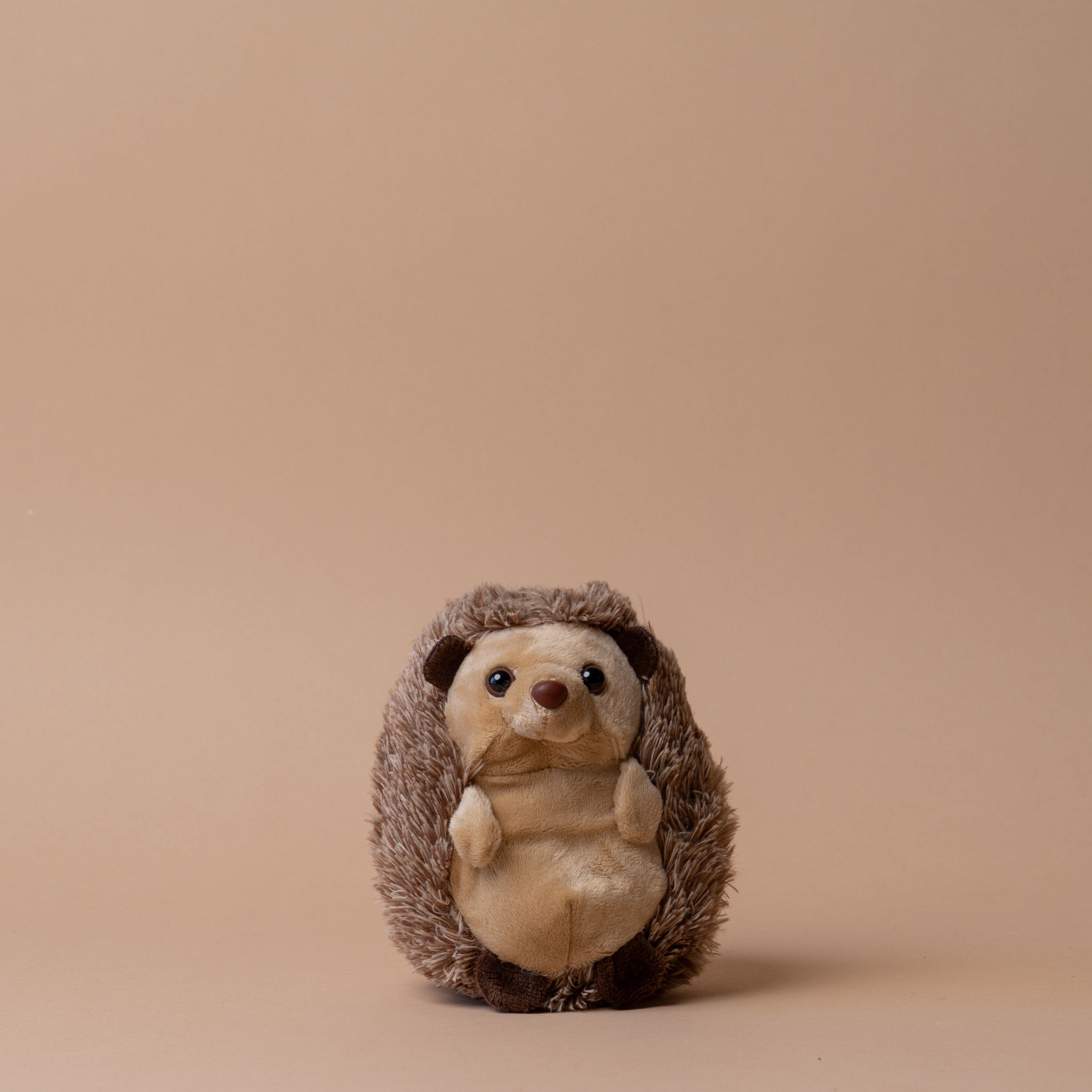 Hilda the Hedgehog