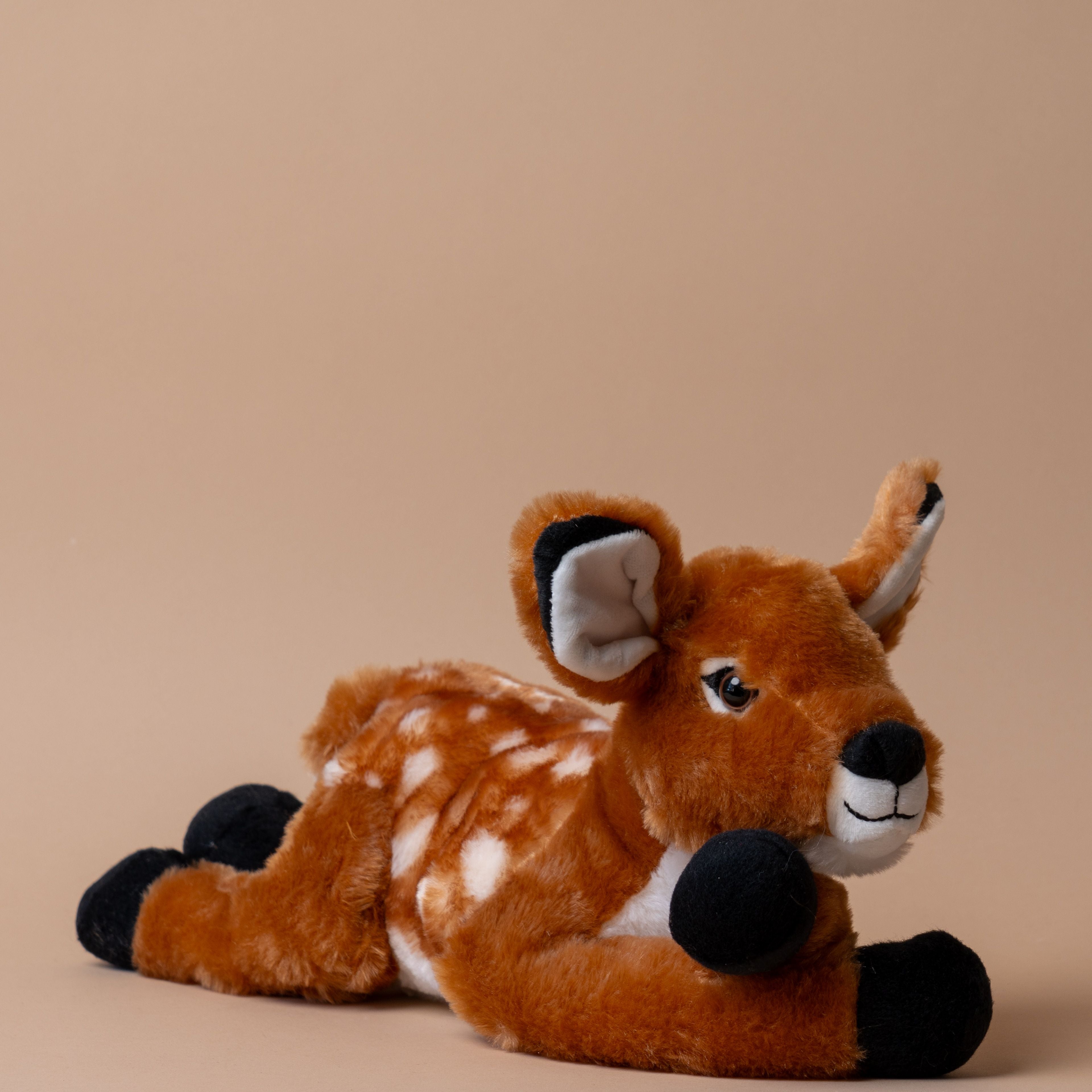 Fanny the Fawn