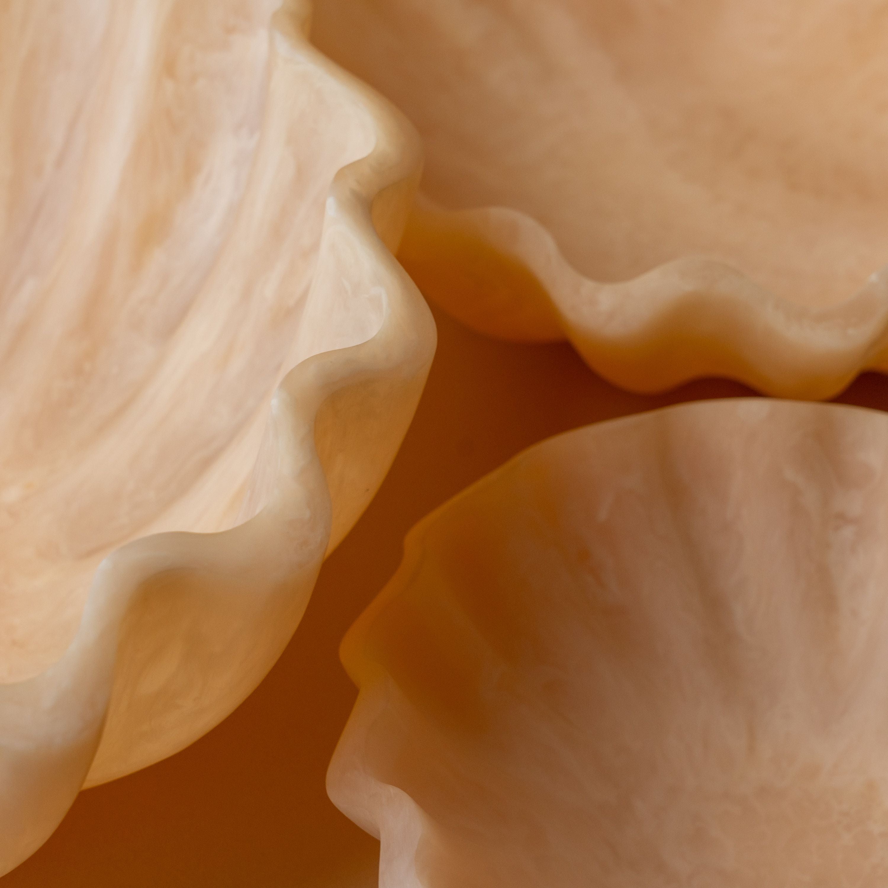 Opalescent Resin Scallop Bowl bowl Indaba