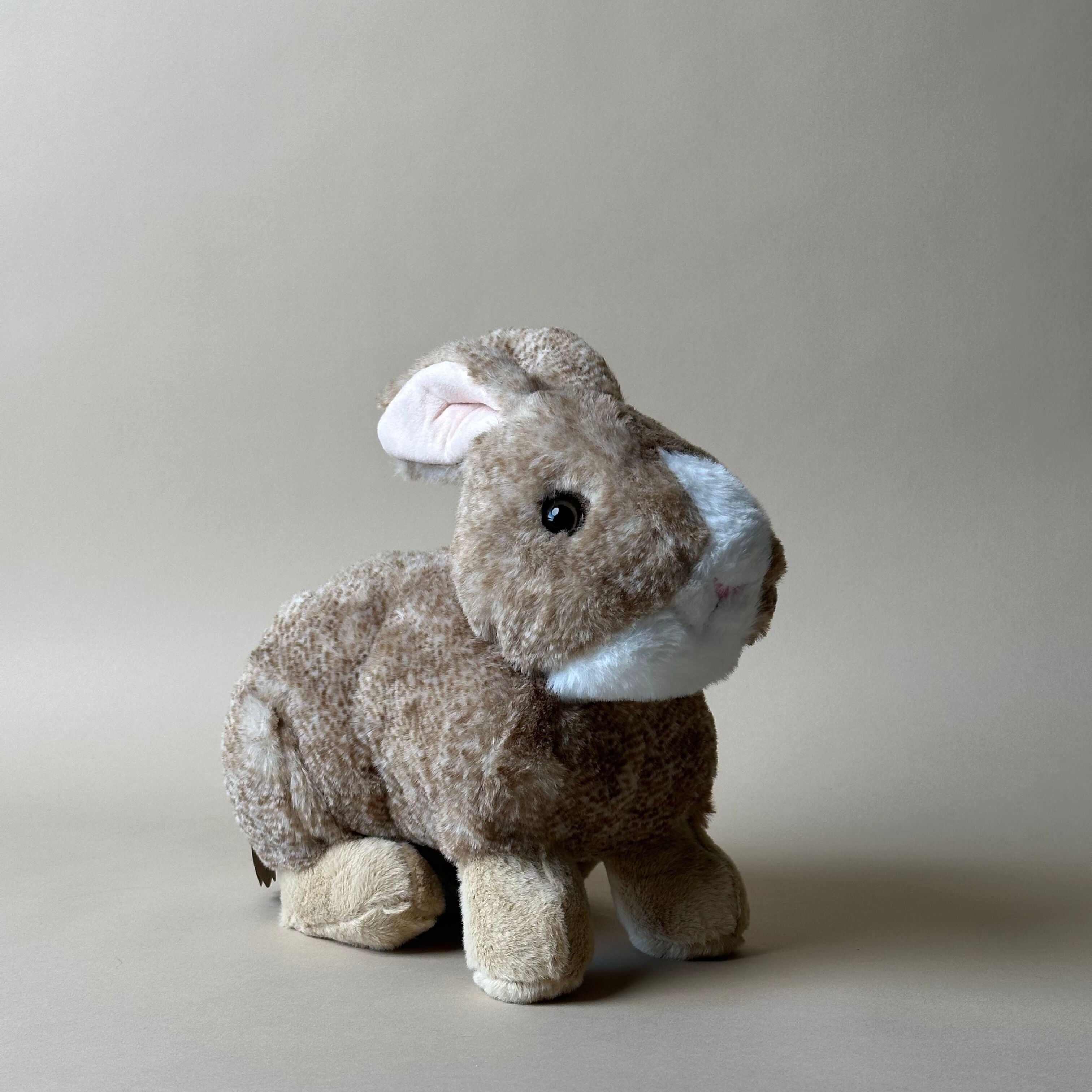 Rupert the Rabbit