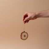 Glass Apple Spice Ornament