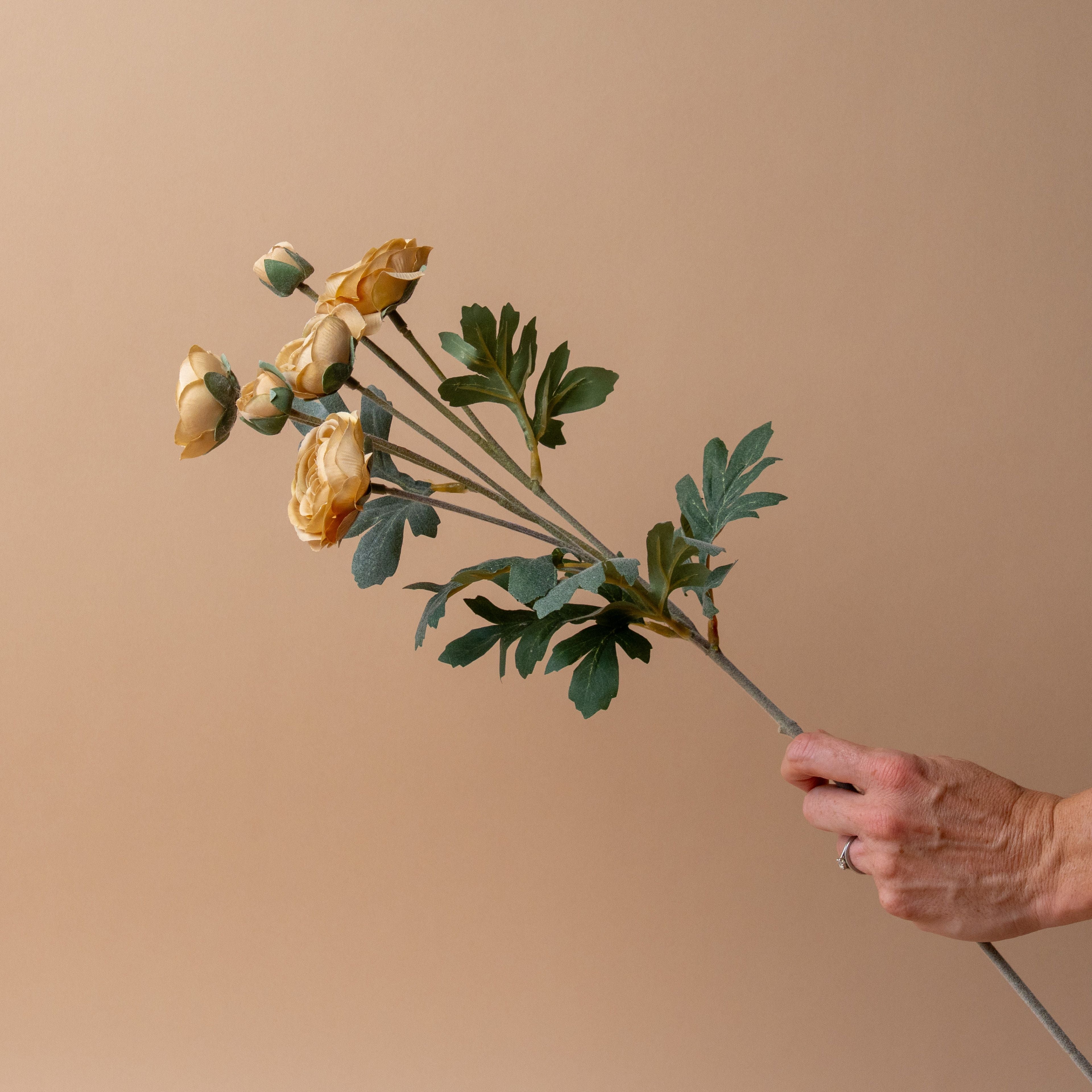 Faux Butter Ranunculus Spray