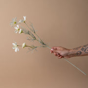 Faux Cosmos Spray