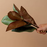 Faux Green Magnolia Branch