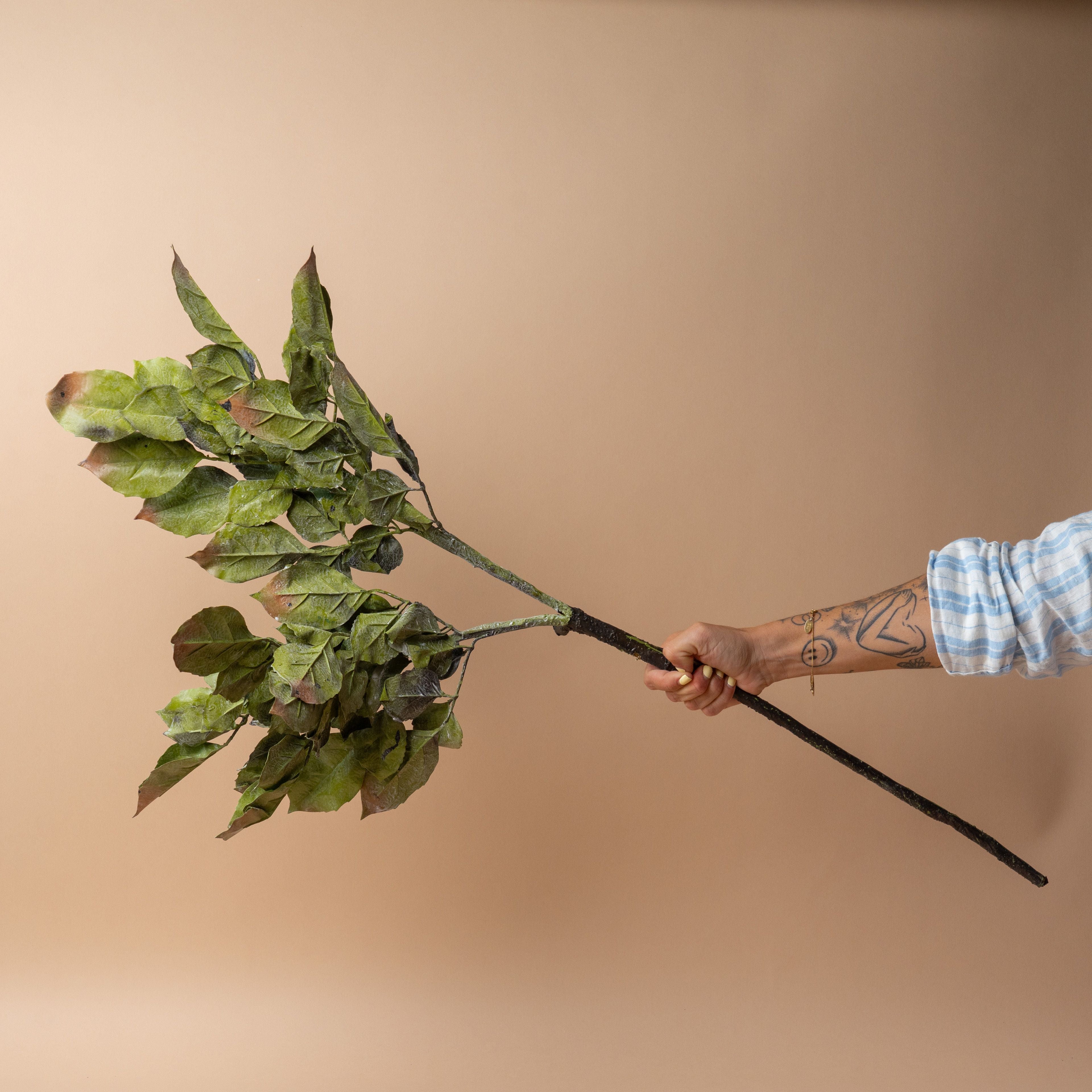 Faux Banyan Branch
