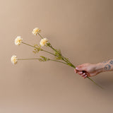 Faux Cream Mini Chrysanthemum Spray faux stem Indaba