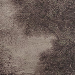 Falco Canvas Artwork ARTWORK Renwil