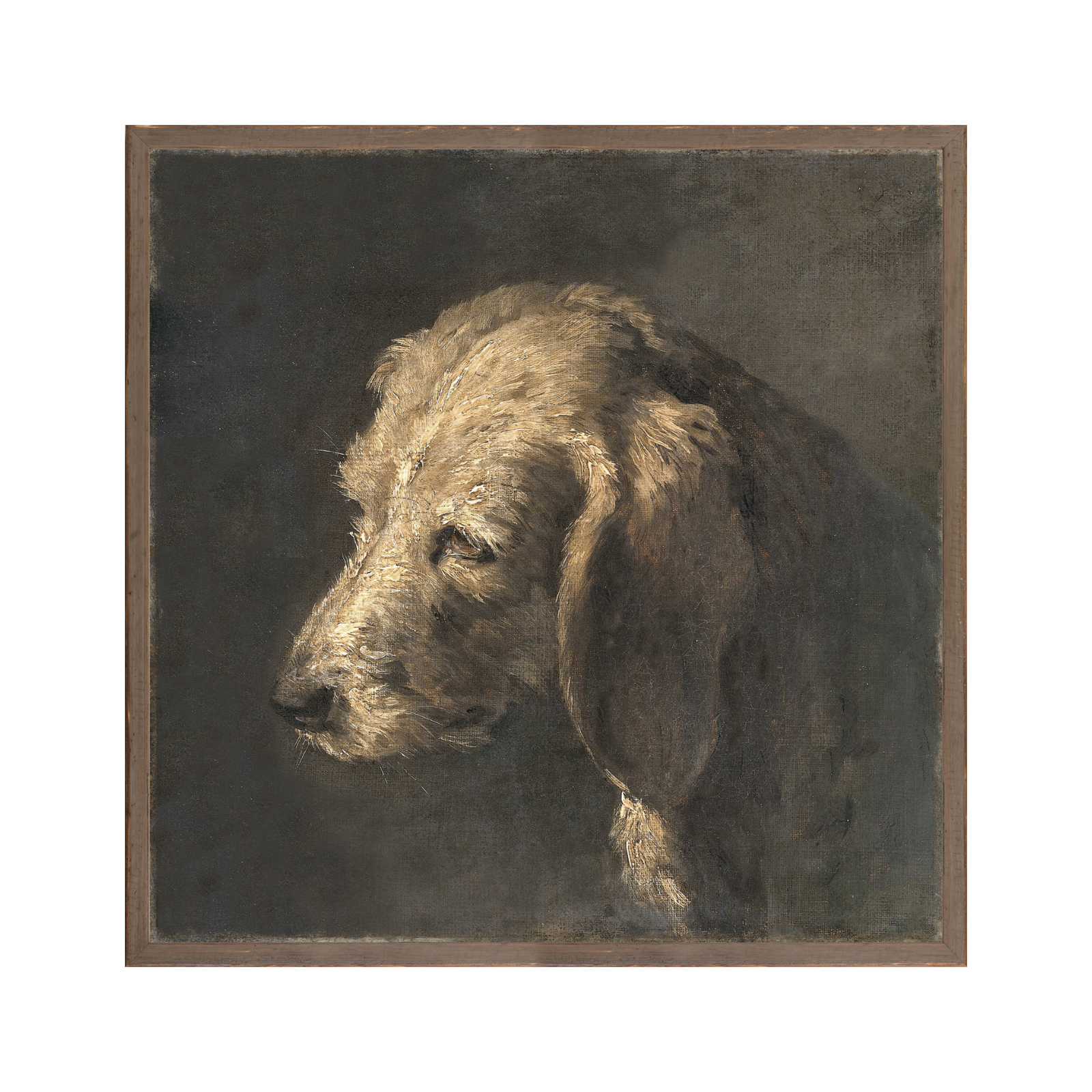 Moody Dog Framed Art Print - Rug & Weave