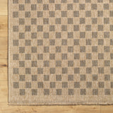 Mitchell Charcoal / Natural Checkered Outdoor Rug