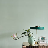 Farrow & Ball Palm No. CC4 - Archive Collection