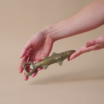 Brass Finish Fish Bottle Opener bottle opener Creative Co-op (DYA)