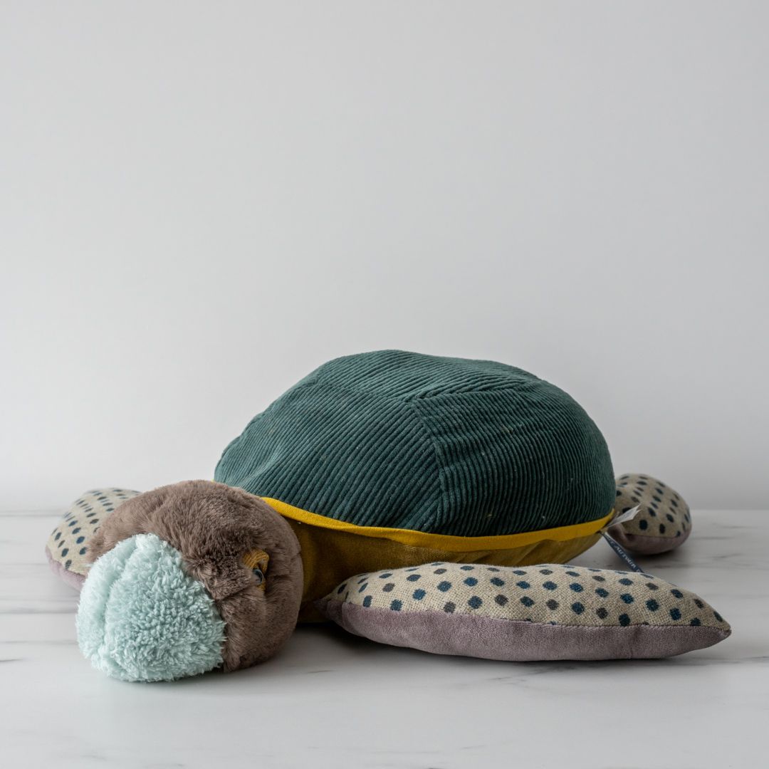 Peter the Turtle - Rug & Weave