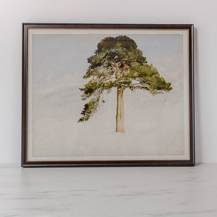"Watercolour Fir Tree" Framed Art Print