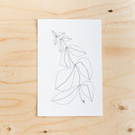 Botanical Line Drawing by Melissa Mary Jenkins - Rug & Weave