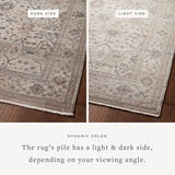 Loloi Lyra Pebble / Multi Rug 0-RUGS-patterned Loloi