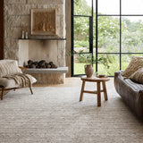 Loloi Raven Dove / Ivory Rug