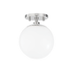 Polished Nickel