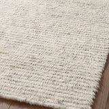 Amber Lewis x Loloi Woodland Silver - Rug & Weave