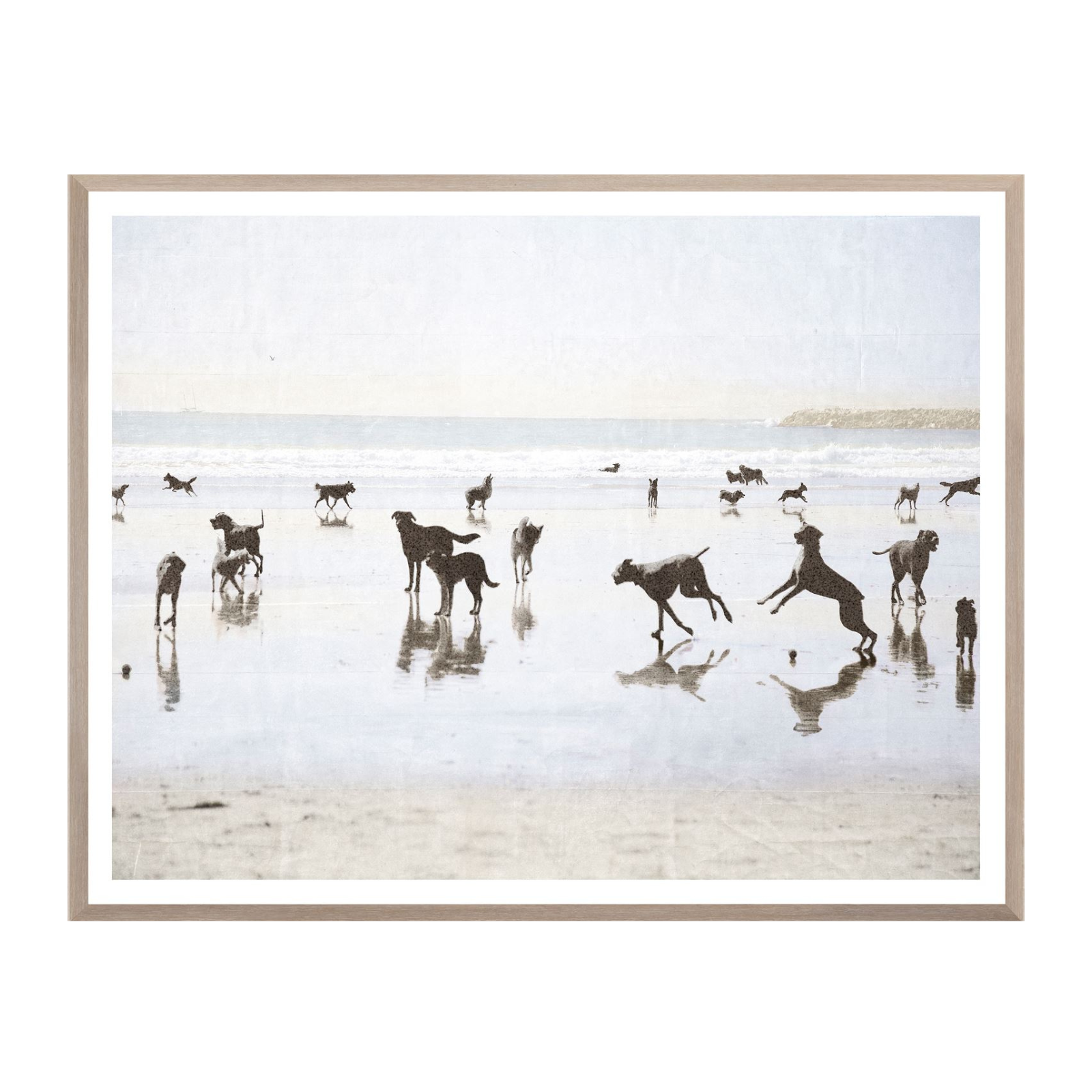 "Dog Days of Summer" Framed Art Print - Rug & Weave