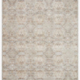 Amber Lewis x Loloi Zuma Silver / Multi - Rug & Weave