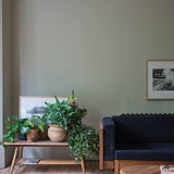Farrow & Ball Ash Grey No. W9