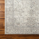 Becki Owens Margot Mist Rug 0-RUGS-patterned Surya