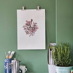 Farrow & Ball Breakfast Room Green No. 81 PAINT - Farrow & Ball Farrow & Ball