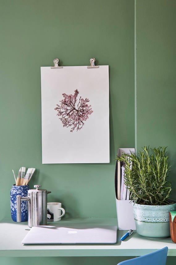 Farrow & Ball Breakfast Room Green No. 81 PAINT - Farrow & Ball Farrow & Ball