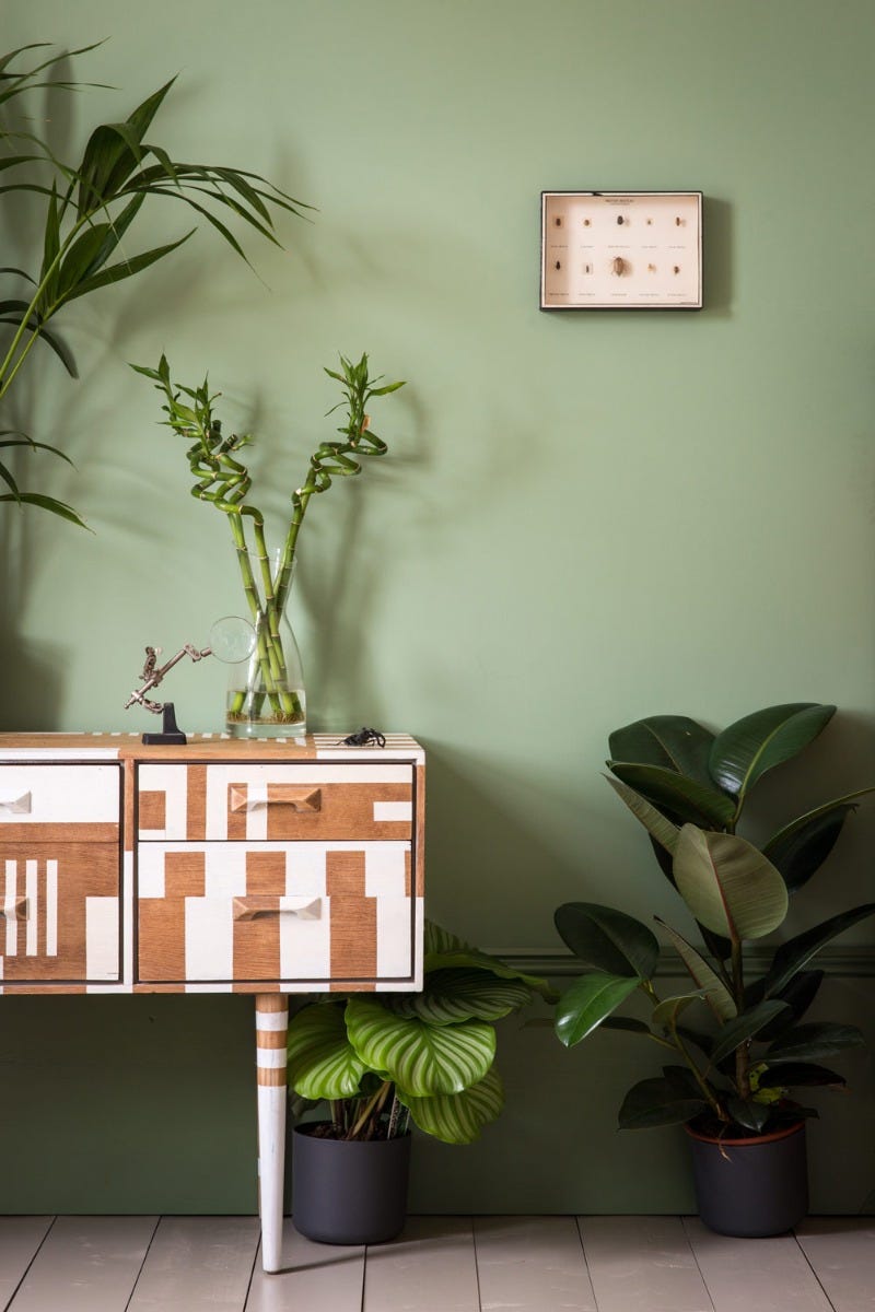 Farrow & Ball Breakfast Room Green No. 81 PAINT - Farrow & Ball Farrow & Ball