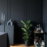 Farrow & Ball Pitch Black No. 256