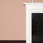 Farrow & Ball Dead Salmon No. 28 PAINT - Farrow & Ball Farrow & Ball