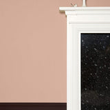 Farrow & Ball Dead Salmon No. 28 PAINT - Farrow & Ball Farrow & Ball