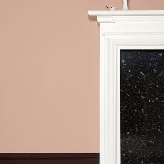 Farrow & Ball Dead Salmon No. 28 PAINT - Farrow & Ball Farrow & Ball