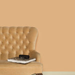 Farrow & Ball Dutch Pink No. 62 - Archive Collection PAINT - Farrow & Ball Farrow & Ball