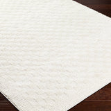 Floyd Ivory Border Checkered Rug