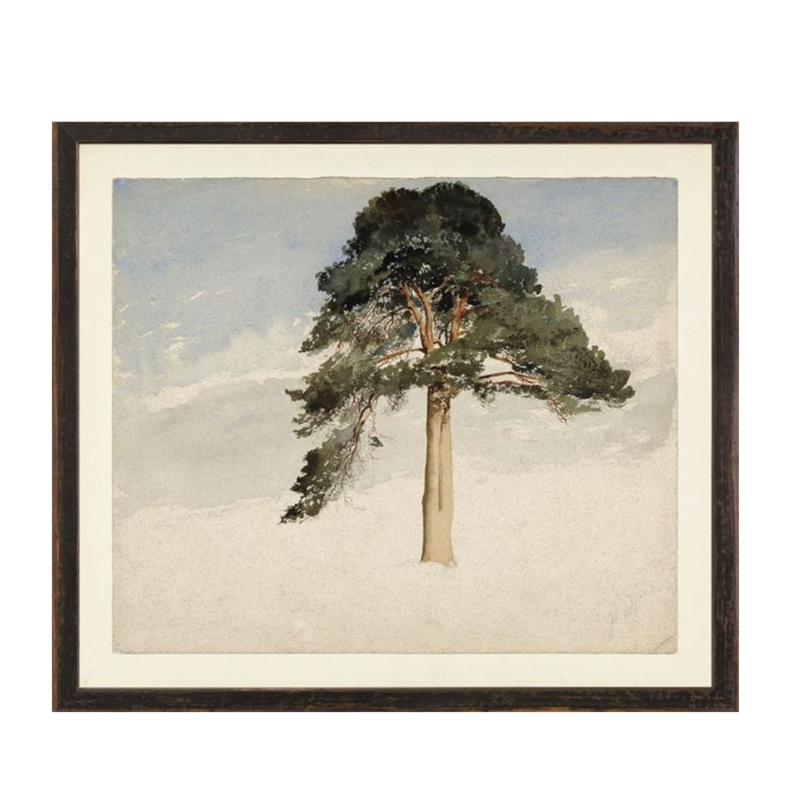 "Watercolour Fir Tree" Framed Art Print - Rug & Weave