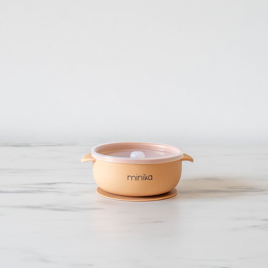 Silicone Bowl with Lid