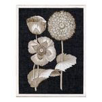"Fine Botanicals III" Framed Art Print ARTWORK - framed print Celadon Art
