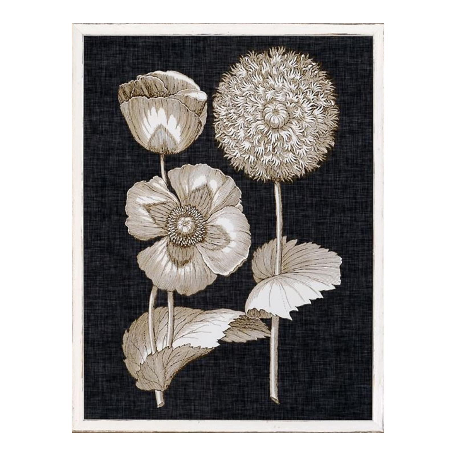"Fine Botanicals III" Framed Art Print ARTWORK - framed print Celadon Art